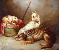 Before the Hunt