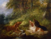 Flushing a Pheasant