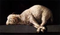 Lamb of God