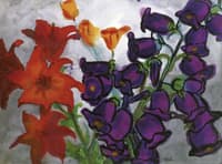 Bellflowers and Lilies