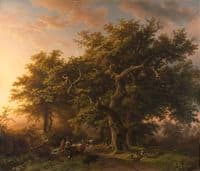 Forest View