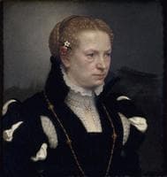 Portrait of an Unknown Woman