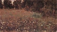 The Flowering Meadow