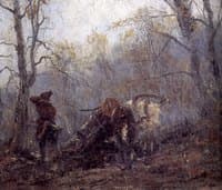 Autumn in the Woods