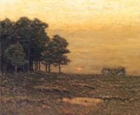 Early Evening