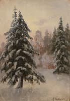 Winter Forest