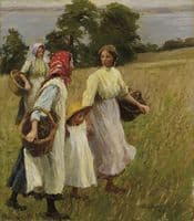 Blackberry Harvest