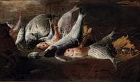 Still Life with Fish