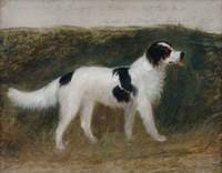 Cato, Property of the Right Honourable Sir Robert Peel, Bt