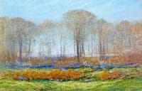 Early Spring Morning