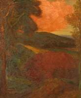 End of the Day (Surrey Woodland)