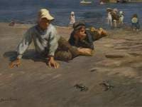 Sport on the Shore – A Crab Race
