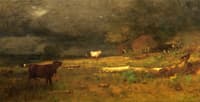 The Coming Storm