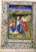 Visitation