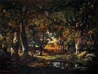 Pool in the Forest