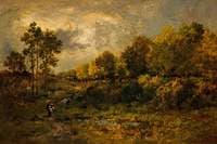A Clearing in the Forest