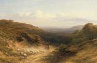 Landscape with Sheep