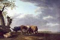 Cattle