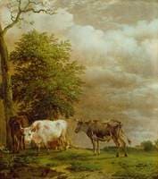 Cattle in Stormy Weather