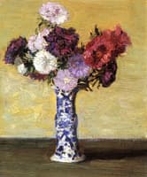 Asters