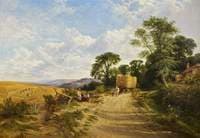 Harvest Time