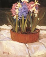 Hyacinths