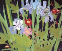 Wild Flowers