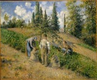 The Harvest at Pontoise