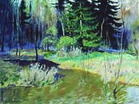 Forest Stream