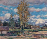 Birch Trees. Sunny Day