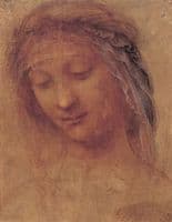 The Head of the Madonna