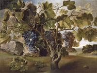 Paisaje con una vid (Landscape with a Vine)