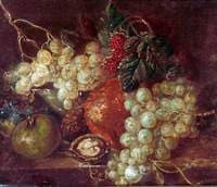 Fruit