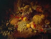 Fruit