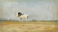 A Plough Horse in a Field