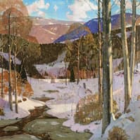 Winter Woods