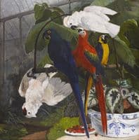 Parrots in the Garden of Plants