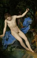 Narcissus