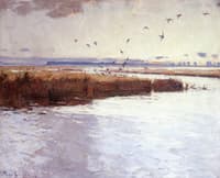 Marshes of Long Point