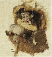 Kittens