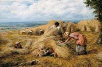 Cornfield Cradle