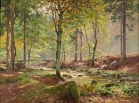 Forest Stream