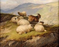 In the Highlands