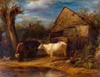 The Cow Yard