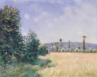 Sahurs Meadows in the Morning Sun