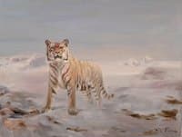 Siberian Tigers