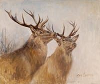 Two Stags