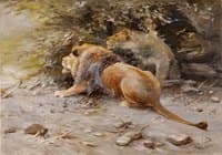 Spying Lions