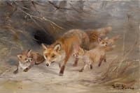 Fox with Cubs