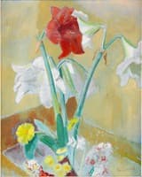 Still life with Amaryllis